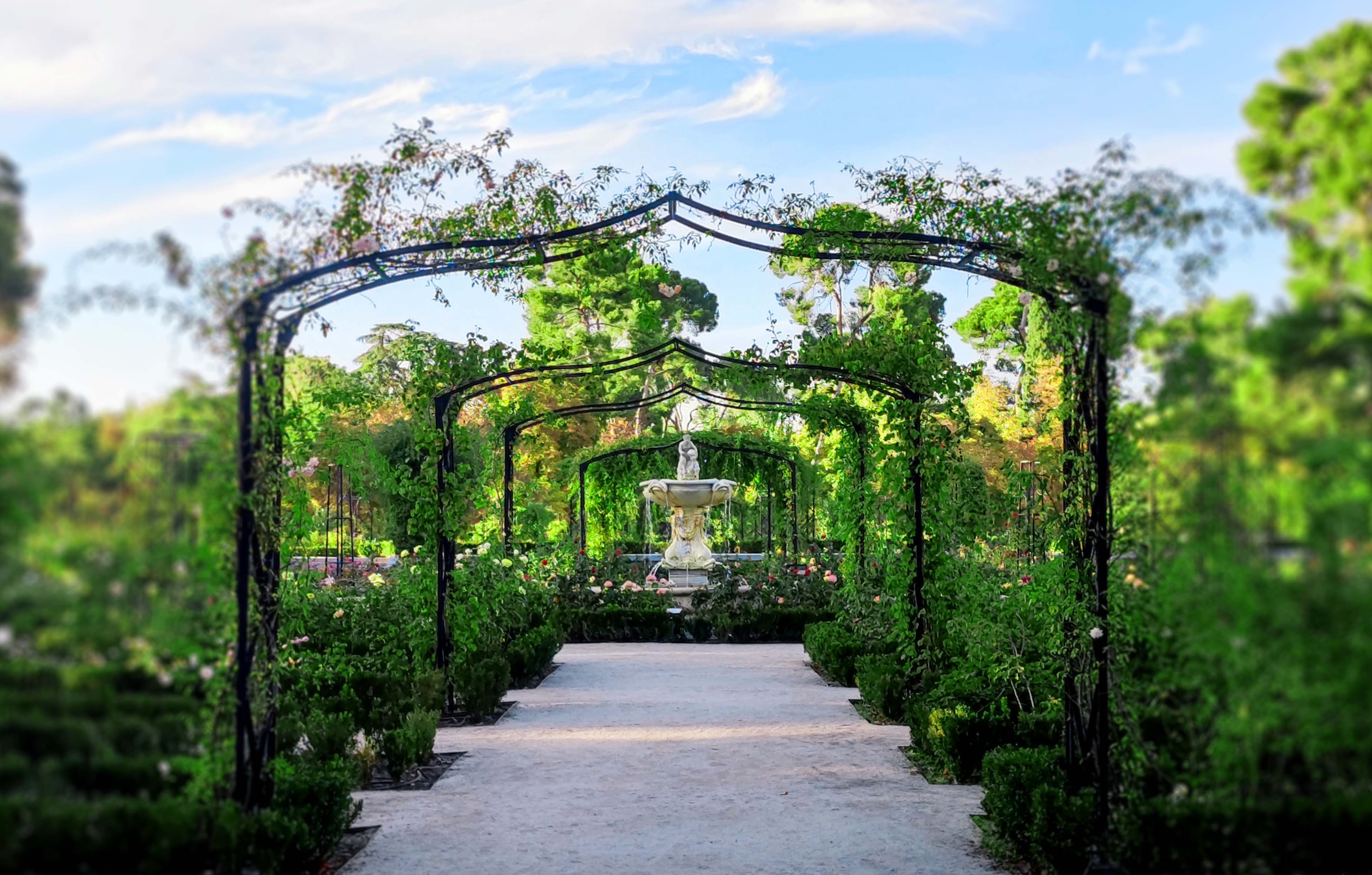 Landscaped garden